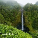 Akaka Falls State Park – A nature-lover’s delight