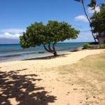 Honokowai Beach – A beach and a park rolled into one
