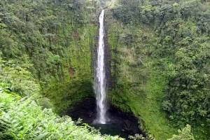 Akaka Falls Waterfalls of Hawaii - Akaka Falls