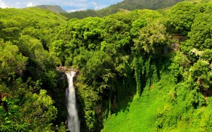 Makahiku Falls Waterfalls of Hawaii - Makahiku Falls