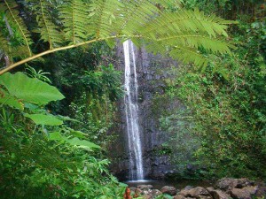 Manoa Falls Waterfalls of Hawaii - Manoa Falls