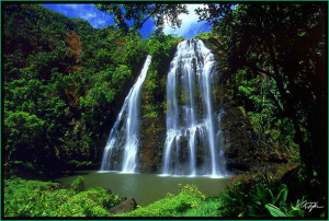 Opaekaa Falls Waterfalls of Hawaii - Opaeka Falls