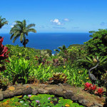A pond with a view - Garden of Eden Botanical Arboretum