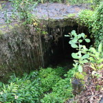 Kaumana Caves Park – An Awesome Lava Tube Adventure in Hilo, Hawaii
