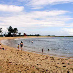 Salt Pond Beach Park