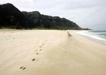 Mokuleia's Army Beach in Oahu, Hawaii