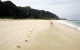 Mokuleia's Army Beach in Oahu, Hawaii