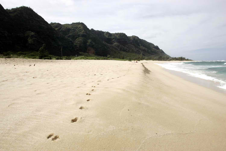 Army Beach Oahu