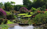 Nani Mau Gardens