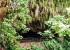 Fern Grotto - Kauai, Hawaii