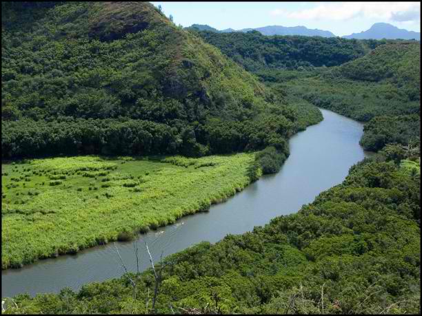 Wailua River – The Only Navigable River in Hawaii – Only In Hawaii